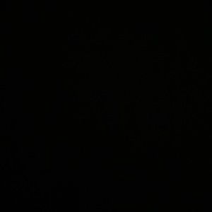 Meet your Posher, Bailey